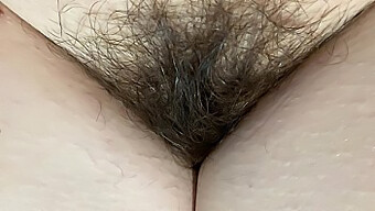 Intense Close-Up Of My Unshaved Pussy With A Massive Bush In 4k Hd Video, Perfect For Those With A Hairy Fetish.